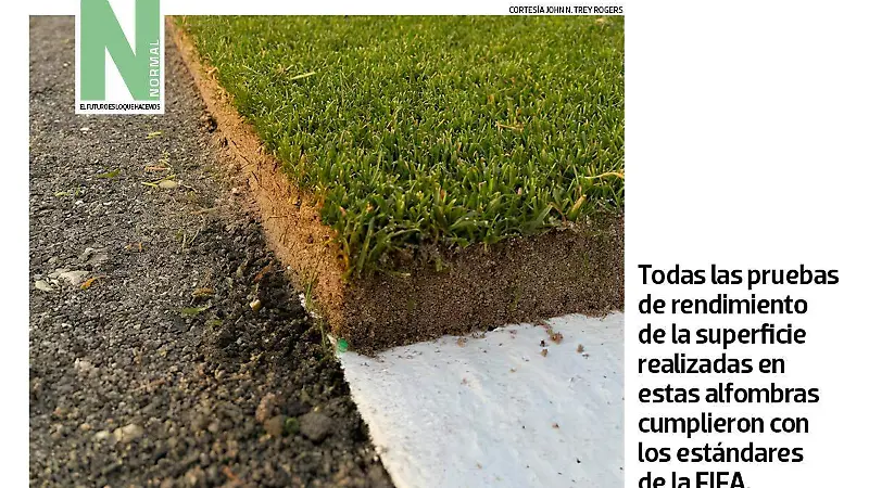 pasto SITIO3.jpg